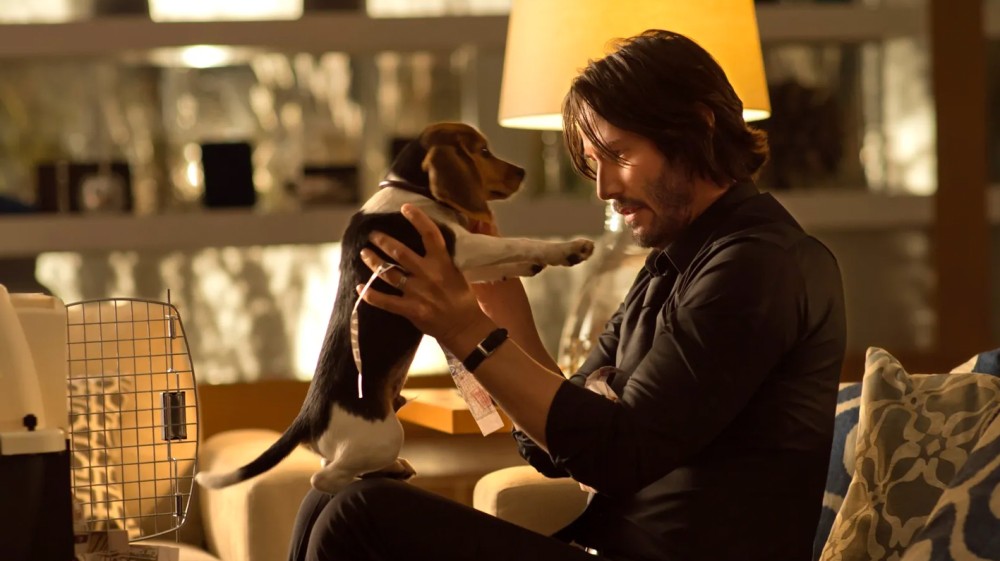 ΤΗΛΕΟΡΑΣΗ: Οι ταινίες της ημέρας (ΠΕΜΠΤΗ 8 ΙΑΝΟΥΑΡΙΟΥ)