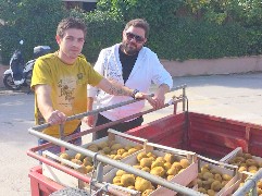 Μοίρασαν ακτινίδια σε σχολεία της Χαλκίδας