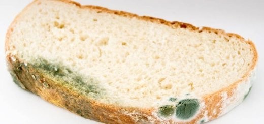Να γιατί δεν πρέπει να τρώτε ούτε το καθαρό κομμάτι ενός μουχλιασμένου τρόφιμου