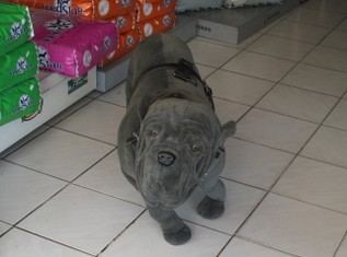 Αει στο καλό σου με τρόμαξες!