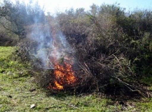 Παρατάθηκε η απαγόρευση καύσεων στην Εύβοια μέχρι τέλος Νοεμβρίου