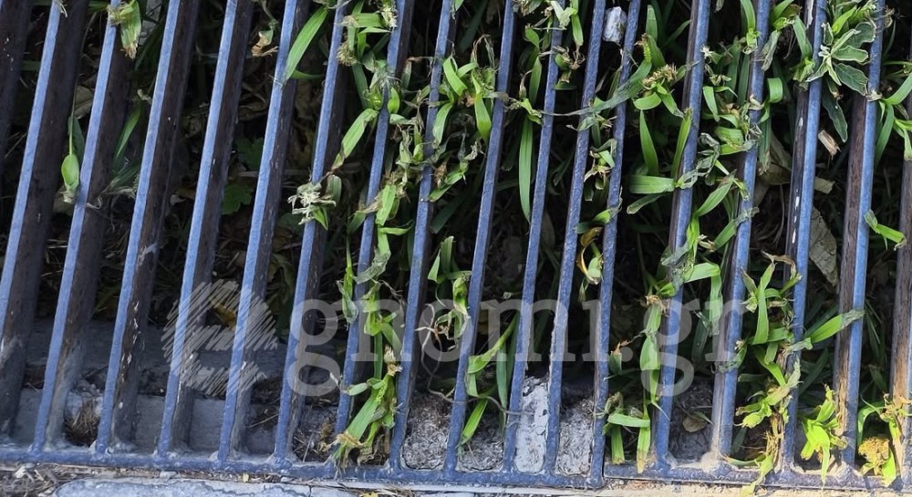 Βουλωμένα τα φρεάτια στην Αβάντων