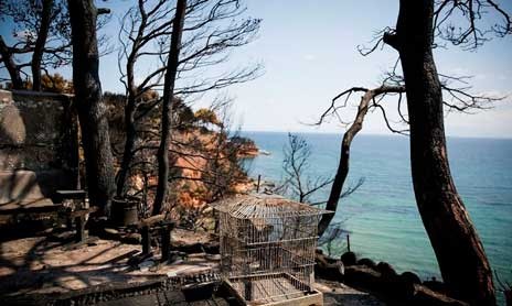 Προφυλακίστηκε ο εμπρηστής του Μαραθώνα