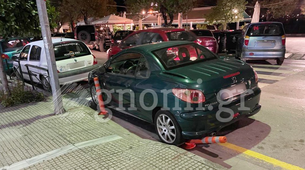 ΧΑΛΚΙΔΑ: Γάιδαρος ...έφαγε το πλαστικό κολωνάκι