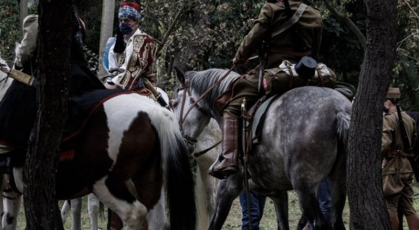 Ιππείς από την Κάρυστο στην παρέλαση της Αθήνας
