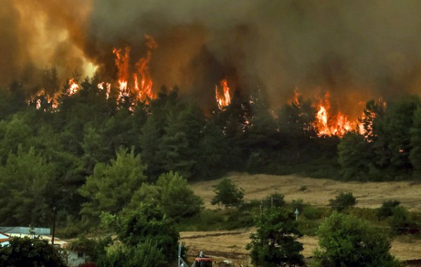 ΦΩΤΙΑ ΕΥΒΟΙΑ- ΝΕΑ ΕΝΗΜΕΡΩΣΗ: Εντολή για εκκένωση σε Αρτεμήσιο, Πευκί, Γούβες, Καστρί- Ο εφιάλτης συνεχίζεται και την Κυριακή