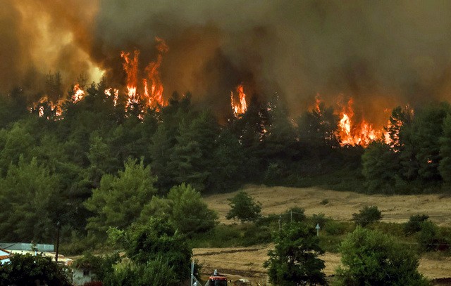 ΦΩΤΙΑ ΕΥΒΟΙΑ- ΝΕΑ ΕΝΗΜΕΡΩΣΗ: Εντολή για εκκένωση σε Αρτεμήσιο, Πευκί, Γούβες, Καστρί- Ο εφιάλτης συνεχίζεται και την Κυριακή