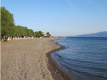 Eυβοϊκές παραλίες στο σφυρί!