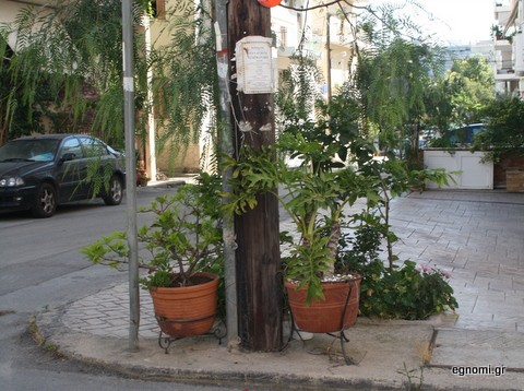 Έβαλαν γλάστρες για να γλιτώσουν από τα σκουπίδια