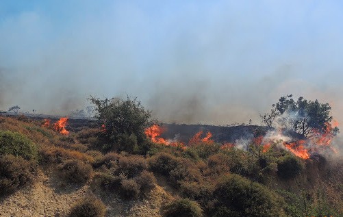 Οικονομική ενίσχυση σε αγρότες και κτηνοτρόφους, που έπαθαν ζημιά από φωτιές το 2011