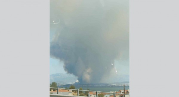 Ξέσπασε μεγάλη φωτιά στα Ψαχνά - Οι καπνοί είναι ορατοί μέχρι και στη Χαλκίδα (VIDEO)