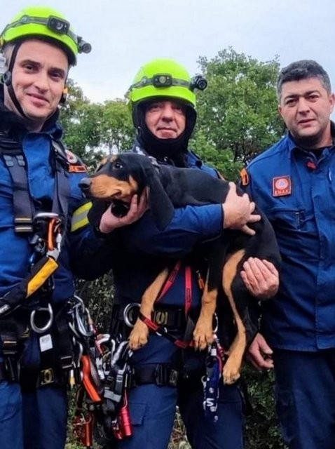 ΦΥΛΛΑ ΕΥΒΟΙΑΣ: Επιχείρηση διάσωσης για σκυλίτσα που έπεσε σε χαράδρα