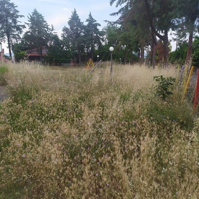 ΙΣΤΙΑΙΑ: Παιδικές χαρές μόνο για ...φίδια