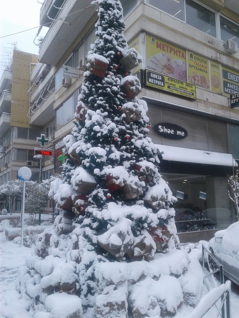 Χιονισμένο και το Χριστουγεννιάτικο δένδρο της Χαλκίδας