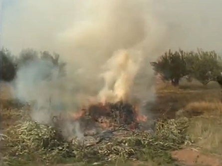 ΕΥΒΟΙΑ: Η Πυροσβεστική Υπηρεσία απαγορεύει οποιαδήποτε καύση στο ύπαιθρο