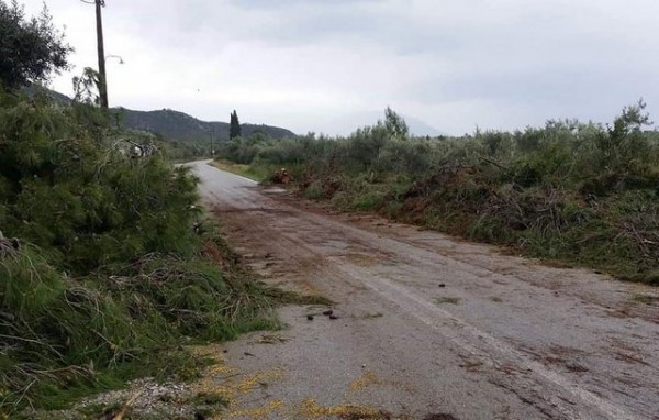 ΓΙΑΛΤΡΑ ΕΥΒΟΙΑΣ: Δέντρα έκλεισαν το δρόμο και εγκλωβίστηκαν άτομα