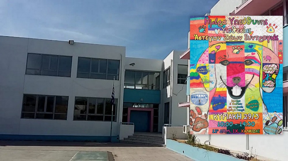 ΧΑΛΚΙΔΑ: Ημέρα Υιοθεσίας για αδέσποτα ζώα στο 12ο Δημοτικό Σχολείο
