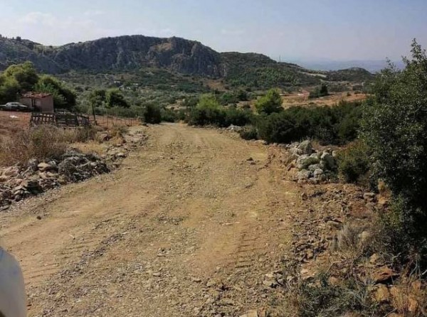 Ο Δήμος Χαλκιδέων άνοιξε αγροτικούς δρόμους στα Φύλλα