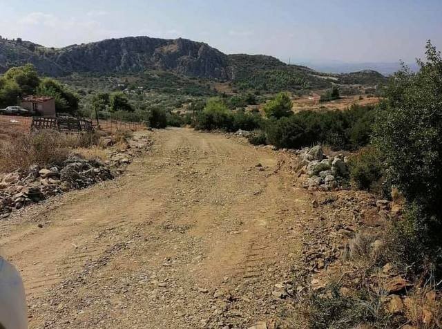 Ο Δήμος Χαλκιδέων άνοιξε αγροτικούς δρόμους στα Φύλλα