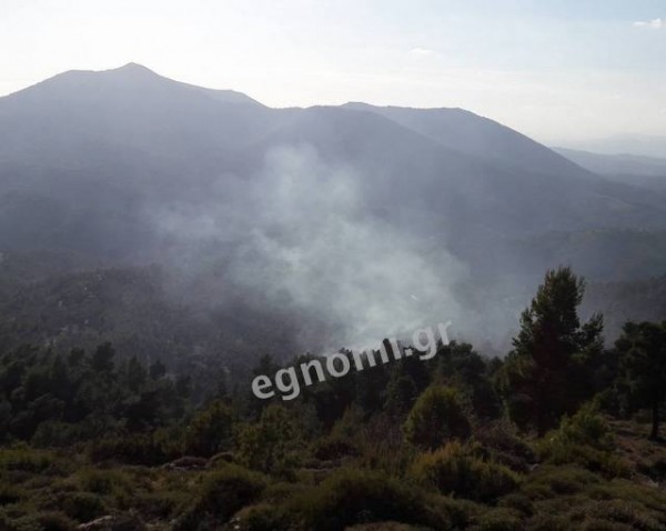 Σέττα:Καπνός προκάλεσε ανησυχία