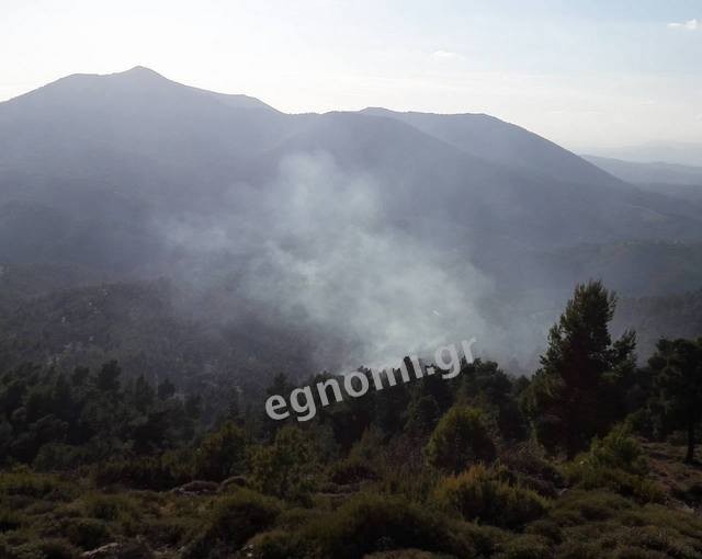 Σέττα:Καπνός προκάλεσε ανησυχία