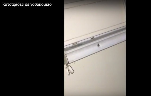 Κατσαρίδες κόβουν βόλτες σε θαλάμους νοσοκομείων (VIDEO)