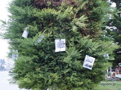 Το αγανακτισόδεντρο!