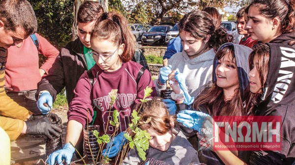 ΜΥΤΙΚΑΣ: Μαθητές φύτεψαν βελανιδιές με στόχο την αναδάσωση καμένων εκτάσεων
