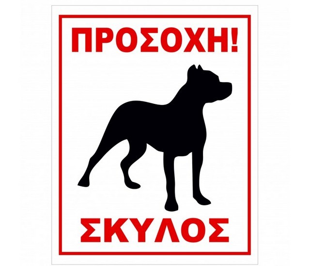 ΧΑΛΚΙΔΑ: Προκάλεσε σκύλο και τον δάγκωσε - Εφυγε με σκισμένη φόρμα και ...ξαναγύρισε