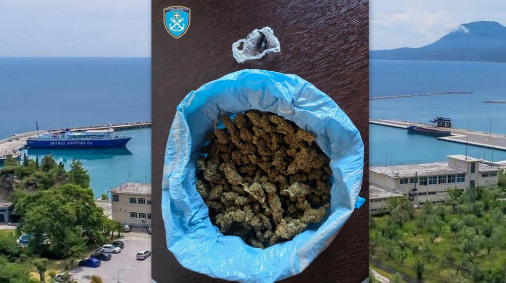 ΚΥΜΗ:  Ο αστυνομικός σκύλος Τόμπι εντόπισε χασίς και κοκαΐνη μέσα στο πλοίο Αχιλλέας