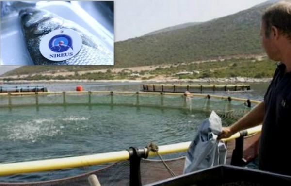 ΝΗ.ΣΕΛ.ΑΝ-ΚΑΤΑΓΓΕΛΙΑ: Η διοίκηση της εταιρείας ξεζουμίζει τους εργαζόμενους - Σοβαρός κίνδυνος ατυχήματος