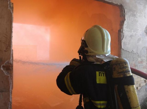 ΑΝΘΗΔΩΝΑ: Άρπαξε φωτιά σε μονοκατοικία στα Λουκίσια
