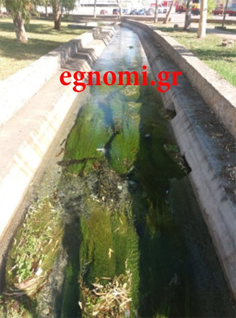 ΧΑΛΚΙΔΑ: Το παζάρι έφυγε - Το ρυάκι έμεινε βρόμικο