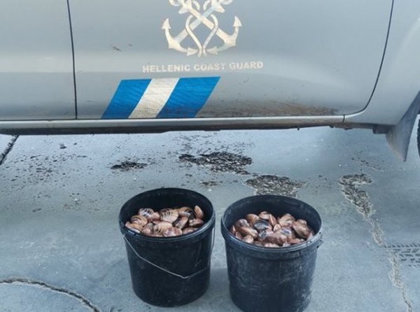 ΒΑΣΙΛΙΚΟ ΧΑΛΚΙΔΑΣ: Κατασχέθηκαν από το Λιμεναρχείο 33 κιλά κυδώνια και γυαλιστερές (φωτό)