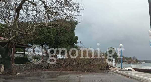 ΠΟΛΙΤΙΚΑ: Αλμυρίκι σωριάστηκε στον παραλιακό δρόμο