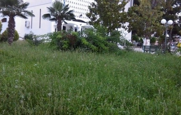 Μοιάζει με ... ζούγκλα το προαύλιο του ναού των Αγίων Αποστόλων στην Αρτάκη