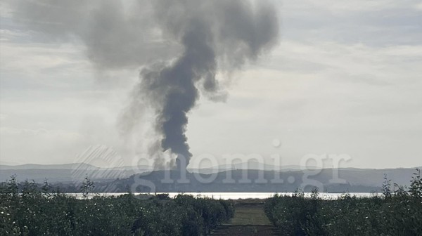 ΒΑΘΥ ΑΥΛΙΔΑΣ: Φωτιά σε εργοστάσιο με αφρολέξ (VIDEO)