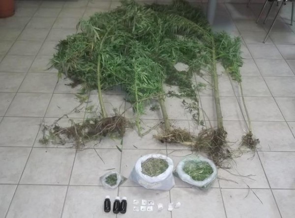 Συνελήφθη 49χρονος για κατοχή ναρκωτικών και καλλιέργεια χασίς (pics)