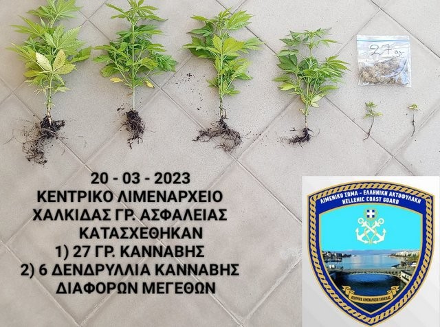 ΧΑΛΚΙΔΑ: Συνελήφθη 50χρονη γυναίκα έξω από το σπίτι της από στελέχη του Λιμεναρχείου