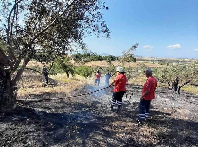 Υπό έλεγχο η φωτιά στο Αλιβέρι