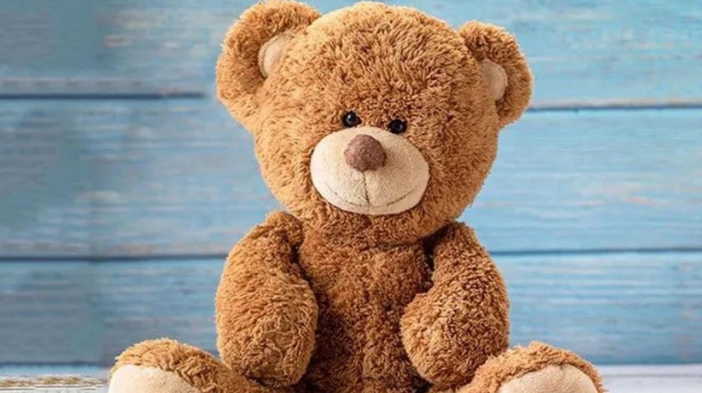 Ελεύθερη η 26χρονη που έβαλε κοριό σε λούτρινο αρκουδάκι για να παρακολουθεί τον πρώην σύζυγό της