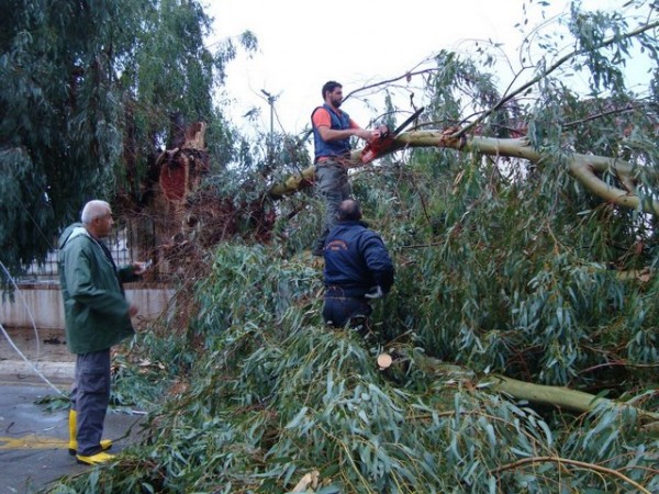 ΑΜΑΡΥΝΘΟΣ: Ο αέρας προκάλεσε καταστροφές