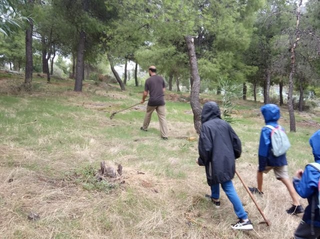 ΧΑΛΚΙΔΑ: Ο Σιδερίτης κόβει την πίτα του στο αλσύλλιο της Αγίας Μαρίνας
