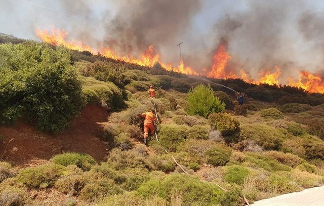 ΚΑΡΥΣΤΟΣ: Άρπαξε φωτιά σε δασική περιοχή (pic)