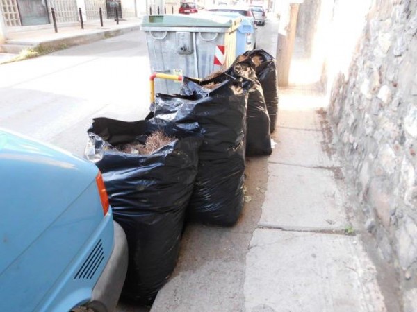 Χαλκίδα: Τα κλαδιά κόντεψαν να βγάλουν ...ρίζες