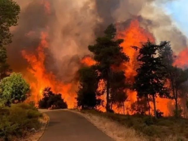 ΠΥΡΙΝΟΣ ΕΦΙΑΛΤΗΣ: Τέσσερις νεκροί από την μεγάλη φωτιά στην Κύπρο
