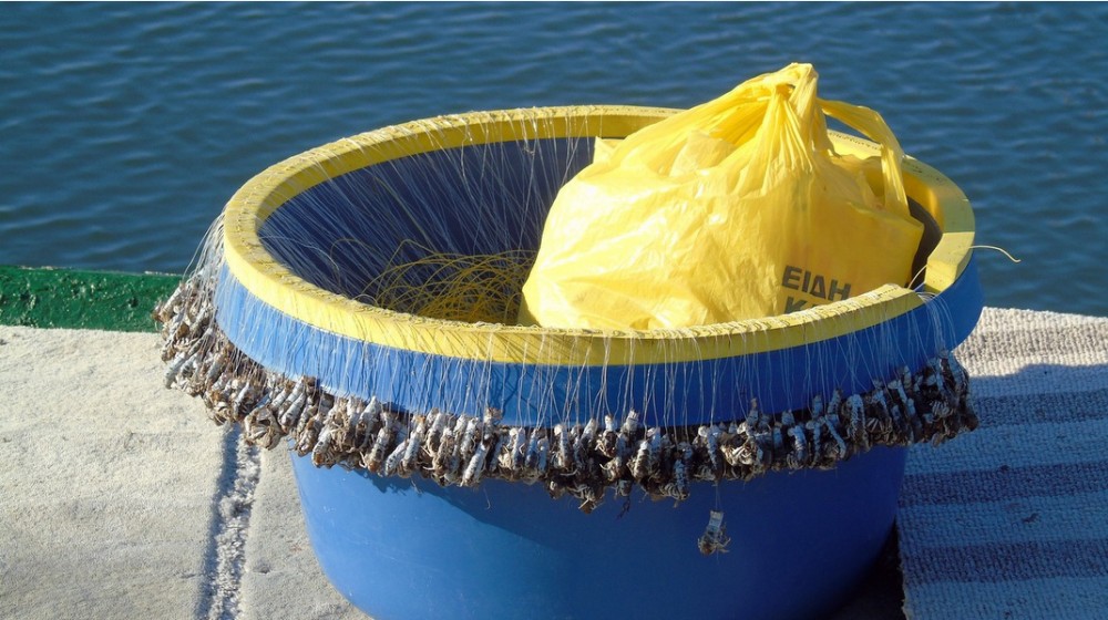 ΛΟΥΚΙΣΙΑ ΕΥΒΟΙΑΣ: Βγήκε ...ξινό το παραγάδι σε ερασιτέχνη ψαρά