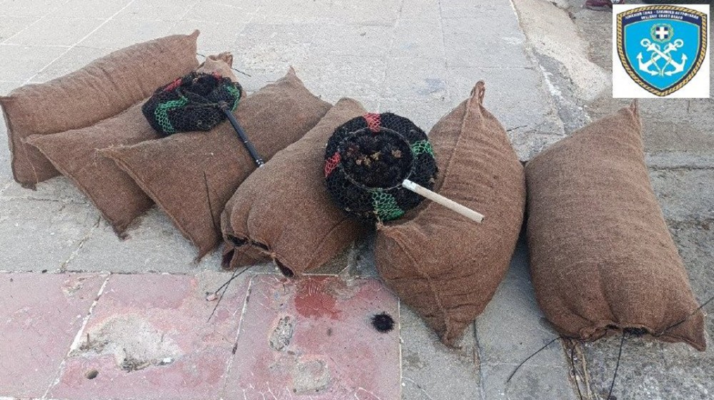 ΠΕΘΑΜΕΝΟΣ ΜΑΛΑΙΣΙΝΑΣ: Τρεις ερασιτέχνες ψάρεψαν παράνομα 4.500 αχινούς  - Τους ...τσίμπησε το Λιμεναρχείο