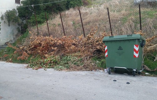 ΚΑΤΑΓΓΕΛΙΑ: Παρατημένα τα κλαδιά για μήνες στο Αυλωνάρι