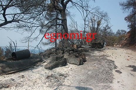 ΦΩΤΙΑ ΒΟΡΕΙΑ ΕΥΒΟΙΑ:Τεράστια καταστροφή - Ο συναγερμός δεν λήγει